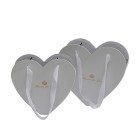 Seau cœur de fleurs petit