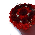 Carton fleur cylindre moyen