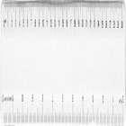 R&egrave;gle transparente-103113