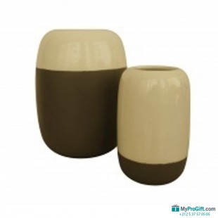 Paire de vases biColoures gris-100196