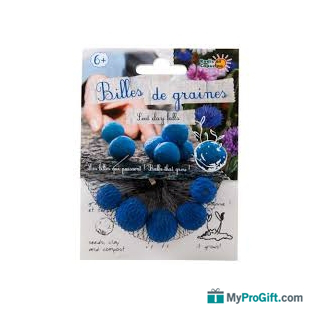 Fleurs en bille de graines-102075