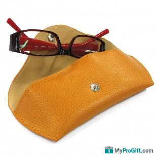 Étui lunettes rigide-101968